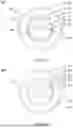 Fig. 22 - WELL ABANDONMENT