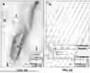 Fig. 04 - Rapid Identification of Hydrodynamic Traps in Hydrocarbon Reservoirs