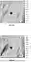 Fig. 12 - Mapping inter-well porosity using tracers with different transport properties