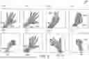 Fig. 07 - Using Iterative 3D-Model Fitting for Domain Adaptation of a Hand-Pose-Estimation Neural Network