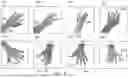 Fig. 08 - Using Iterative 3D-Model Fitting for Domain Adaptation of a Hand-Pose-Estimation Neural Network