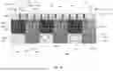 Fig. 07 - NON-DESTRUCTIVE SEM-BASED DEPTH-PROFILING OF SAMPLES