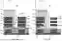 Fig. 02 - NANOSHEET STACKS WITH DIELECTRIC ISOLATION LAYERS