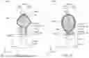 Fig. 06 - Profile Control of Epitaxial Structures in Semiconductor Devices
