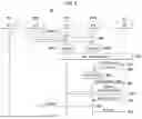 Fig. 09 - METHOD AND APPARATUS FOR SIGNAL TRANSMISSION AND RECEPTION IN COMMUNICATION SYSTEM