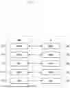 Fig. 02 - METHOD, DEVICE, AND SYSTEM FOR REDUCING RECEIVING-END RLC PROCESSING LOAD THROUGH HIGHLY RELIABLE HARQ FEEDBACK-BASED RLC RETRANSMISSION