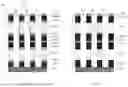 Fig. 07 - FLASH MEMORY STRUCTURE AND METHOD OF FORMING THE SAME