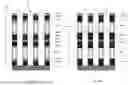 Fig. 09 - FLASH MEMORY STRUCTURE AND METHOD OF FORMING THE SAME