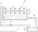 Fig. 01 - METHOD OF CULTIVATING FRUIT VEGETABLE PLANT