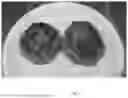 Fig. 03 - METHOD FOR PRODUCING GRAIN MIXED GROUND MEAT, GRAIN PROCESSED FOOD, AND GRAIN MIXED GROUND MEAT
