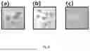 Fig. 07 - METHOD FOR PRODUCING GRAIN MIXED GROUND MEAT, GRAIN PROCESSED FOOD, AND GRAIN MIXED GROUND MEAT