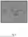 Fig. 09 - METHOD FOR PRODUCING GRAIN MIXED GROUND MEAT, GRAIN PROCESSED FOOD, AND GRAIN MIXED GROUND MEAT