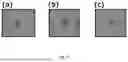Fig. 11 - METHOD FOR PRODUCING GRAIN MIXED GROUND MEAT, GRAIN PROCESSED FOOD, AND GRAIN MIXED GROUND MEAT