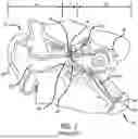 Fig. 02 - EUSTACHIAN TUBE DILATION BALLOON WITH VENTILATION PATH