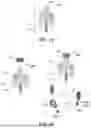 Fig. 02 - CHIMERIC ADAPTOR PROTEINS AND METHODS OF REGULATING GENE EXPRESSION