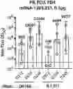 Fig. 01 - VARIANT STRAIN-BASED CORONAVIRUS VACCINES