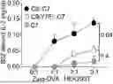 Fig. 01 - CYTOSOLIC DELIVERY