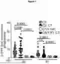 Fig. 04 - CYTOSOLIC DELIVERY