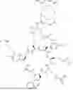 Fig. 197 - NOVEL CXCR4-TARGETING COMPOUNDS