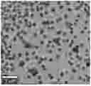 Fig. 01 - REVERSIBLY PROTECTED COLORANTS AND METHODS OF USE