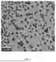 Fig. 02 - REVERSIBLY PROTECTED COLORANTS AND METHODS OF USE