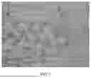 Fig. 04 - REVERSIBLY PROTECTED COLORANTS AND METHODS OF USE
