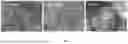 Fig. 02 - KAOLIN-BASED HEMOSTATIC GAUZE AND PREPARATION METHOD THEREOF