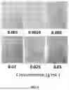 Fig. 09 - KAOLIN-BASED HEMOSTATIC GAUZE AND PREPARATION METHOD THEREOF