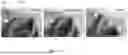 Fig. 06 - A REVERSIBLE BIOADHESIVE