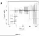 Fig. 28 - A REVERSIBLE BIOADHESIVE