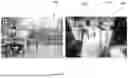 Fig. 30 - A REVERSIBLE BIOADHESIVE