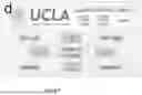 Fig. 32 - A REVERSIBLE BIOADHESIVE