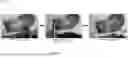 Fig. 35 - A REVERSIBLE BIOADHESIVE