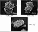 Fig. 11 - POROUS POLYMERIC CARBON SORBENTS FOR CO2 CAPTURE AND METHODS OF MAKING AND USING SAME