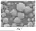 Fig. 02 - Spherical Titanium Silicalite Molecular Sieve Catalyst and Preparation Method Therefor