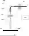Fig. 02 - DEVICES AND SYSTEMS FOR VARYING FILAMENT PATH LENGTH
