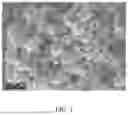 Fig. 02 - METAL SULFIDE NEGATIVE MATERIAL OF SODIUM ION BATTERY AND PREPARATION METHOD THEREOF