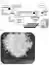 Fig. 02 - Superhydrophobic asphalt/pp coating