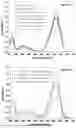 Fig. 07 - Method for the extraction of phycobiliproteins at high purity degree from cyanobacterial and/or algal biomasses