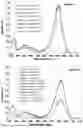 Fig. 09 - Method for the extraction of phycobiliproteins at high purity degree from cyanobacterial and/or algal biomasses