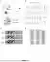 Fig. 02 - SELECTIVE MENA BINDING PEPTIDES