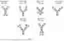 Fig. 02 - BINDING AGENTS AND METHODS OF USING THE SAME