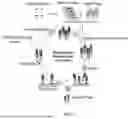 Fig. 02 - Antibodies Targeting Integrin Beta-2