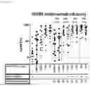Fig. 41 - METHODS OF TREATING CANCERS AND ENHANCING EFFICACY OF T CELL REDIRECTING THERAPEUTICS