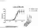 Fig. 44 - METHODS OF TREATING CANCERS AND ENHANCING EFFICACY OF T CELL REDIRECTING THERAPEUTICS