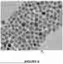 Fig. 07 - BLUE-EMITTING NANOCRYSTALS WITH CUBIC SHAPE AND FLUORIDE PASSIVATION