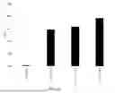 Fig. 06 - ENGINEERED MEGANUCLEASES SPECIFIC FOR RECOGNITION SEQUENCES IN THE PCSK9 GENE
