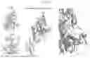 Fig. 44 - KERATINASE COMPOSITION