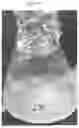 Fig. 49 - KERATINASE COMPOSITION