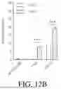 Fig. 22 - COUPLING ENDONUCLEASES WITH END-PROCESSING ENZYMES DRIVES HIGH EFFICIENCY GENE DISRUPTION